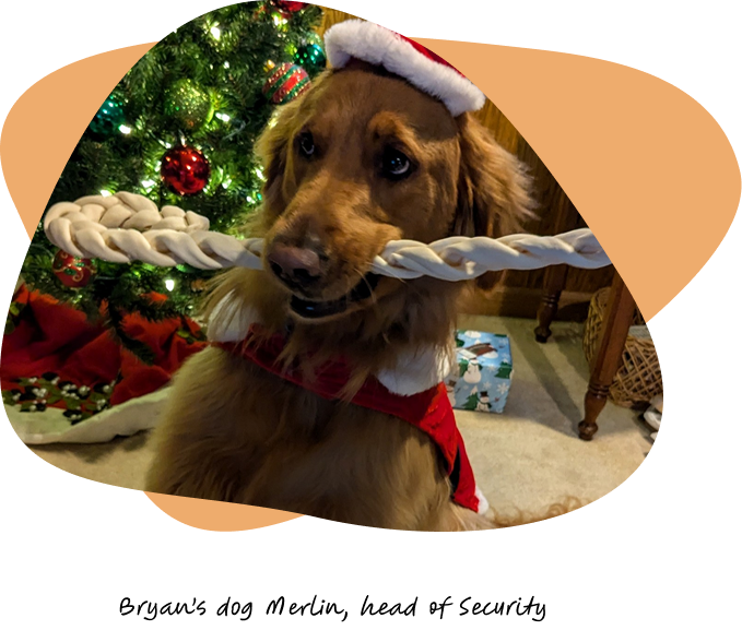 photo of Bryan's dog Merlin who is head of security here at Built Mighty
